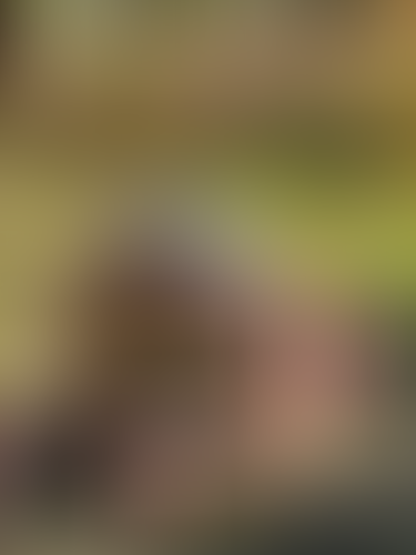 Fanvue - Connect, Create and Earn with your fans