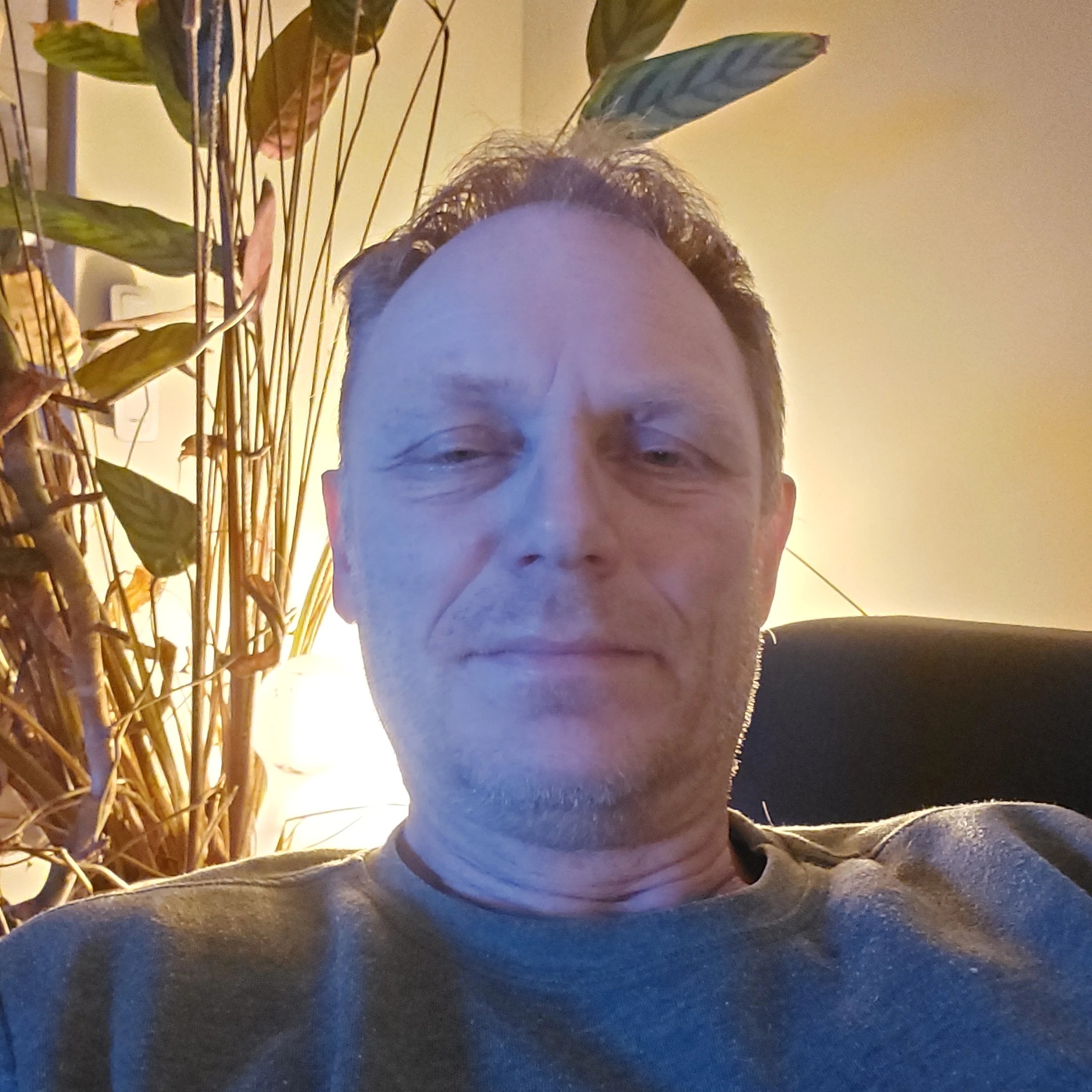 Johan P Fanvue picture