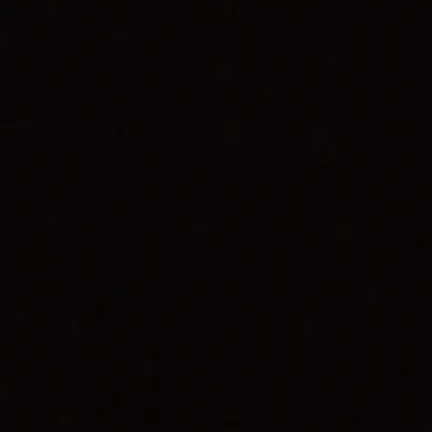 b11 on FansExplore