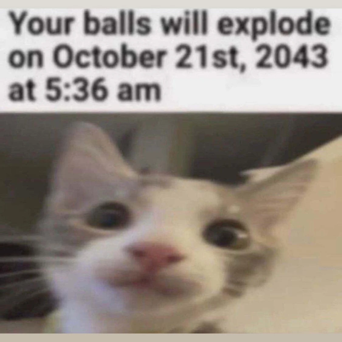 Yurrrrr
