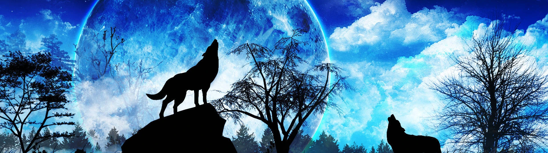 LunaWolf97 cover
