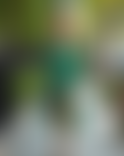Astrid-Elise Sørensen 🇳🇴🇺🇸 - Fanvue