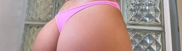 Amber Vixen cover